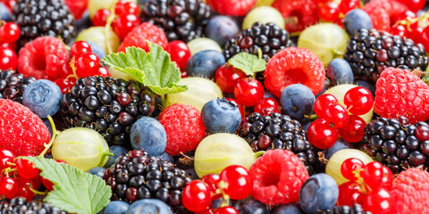 Berries fruits berry fruit strawberries strawberry blueberries blueberry panorama