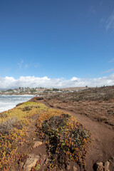 Bluff walking Trail at Fiscalini Ranch Preserve on the Rugged Central California coastline at Cambria California United States