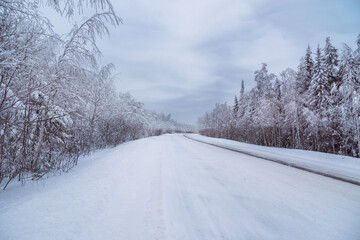 The road in winter season forest with frost and snow on firs brunches