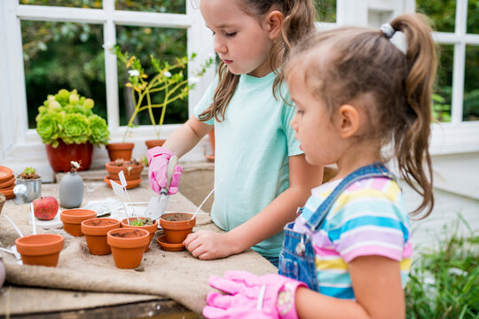 Kids learning gardening outdoors. Cute girls planting flowers in pots at greenhouse. Sisters taking care of plants. Activities for growing plants with children concept