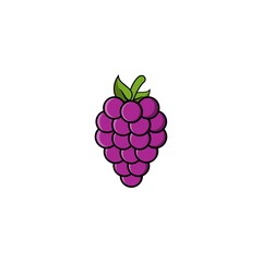 Grape fruits icon vector design templates