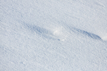 close-up of snowy surface and flakes background