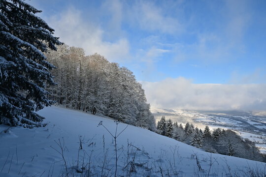 schneebedeckte Tannen auf der Skipiste in Bischofsheim in der Rh&ouml;n, Winter Panoramablick vom Kreuzberg, Deutschland