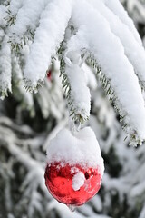 rote Christbaumkugel hängend an einer schneebedeckten Tanne, Weihnachtsgruß Textfreiraum