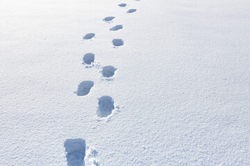 footprints in the fresh snow in winter