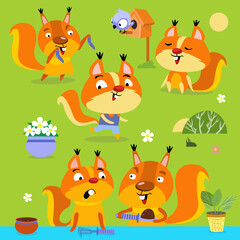 Vector set of cute squirrels. Squirrel runs, sits, plants, communicates, sunbathes. Family collection animals colorful illustration. Suitable for animation, children textiles, printing.