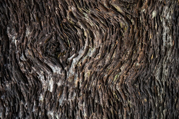 old wood pattern for background