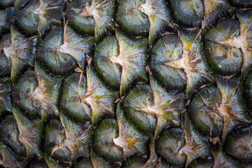 Fototapeta premium Colorful pattern of pineapple skin for background.