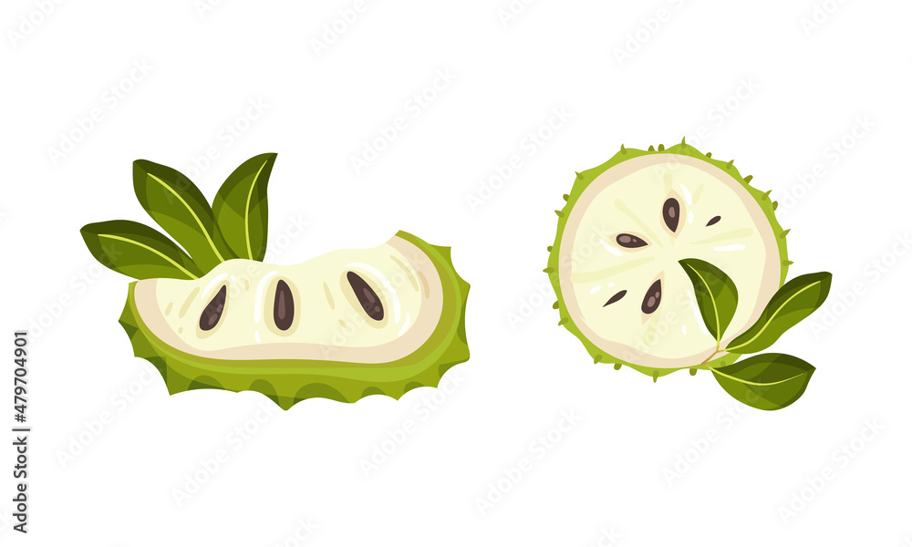 Wall mural Guanabana tropical fruit set. Exotic ripe green soursop, annona cherimola vector illustration i