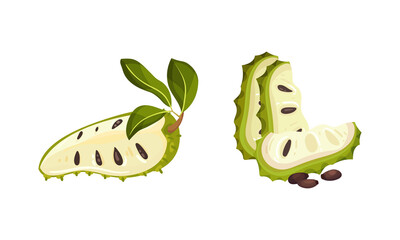 Guanabana tropical fruit set. Sliced exotic ripe sweet soursop, annona cherimola or graviola vector illustration