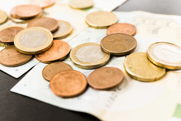 Euro as metal and paper currency