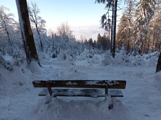 Schneebedeckter Wanderweg in Winterlandschaft am Erbeskopf im Hunsrück, Rheinland-Pfalz, auf der Traumschleife Gipfelrauschen.