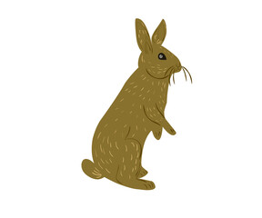 vector hare and rabbit in a flat and cartoon style on a white background, animal illustration for children