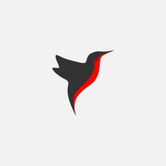 Hummingbird logo and symbol vector image