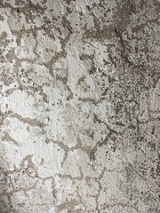 beschaffenheit, wand, piter, flächen, beton, dekor, grunge, zement, rau, grau, fels, alt, material, beschmutzen, hintergrund, grau, close up, granit, gips, aufbau, detail, marmor, hintergründe, design