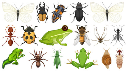 Different insects collection isolated on white background