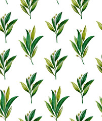 Fototapeta premium Watercolor greenery floral pattern. Green leaves background 