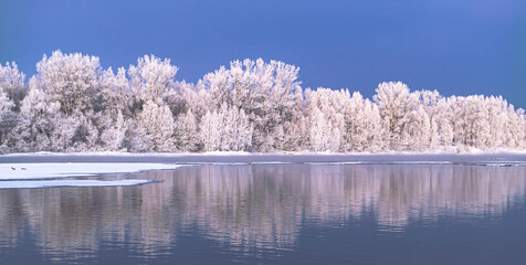 snow-covered trees are reflected in the river