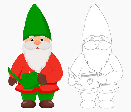 Cute garden gnome with a watering can in his hands. Gnome in color and outline.