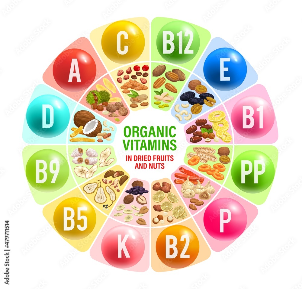 Wall mural dried fruits and nuts, vitamins and multivitamins chart. vector table with coconut, hazelnut, walnut