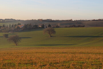 Fototapeta premium Paesaggio naturale