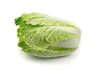 Whole Chinese Cabbage, Napa Cabbage or Wombok