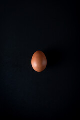 Brown egg on the black background.