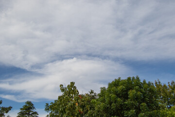 Cloudscape over the forests on the Garden Route in South Africa