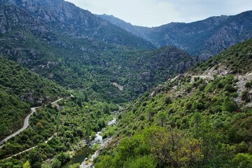 Fototapeta na wymiar Corsica-view of the river Golo