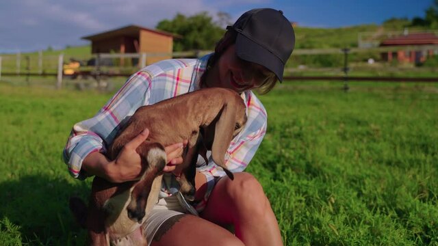farm visitor is playing with cute baby goat in livestock farm, woman is holding little boer goat