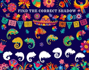 Fototapeta na wymiar Find correct chameleon lizard shadow kids riddle game. Children educational puzzle game, child logical quiz or kids playing activity, riddle page with mexican sombrero hat, picado garland and flowers