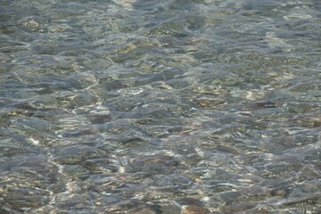 landscape of the river