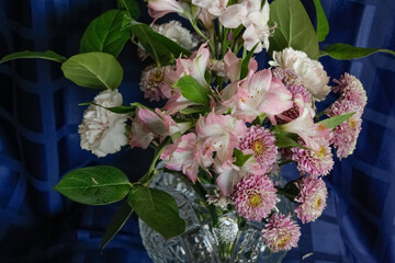 Pink flowers in a glass vase on a blue background.