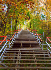 Fototapeta na wymiar Stairs in the autumn park
