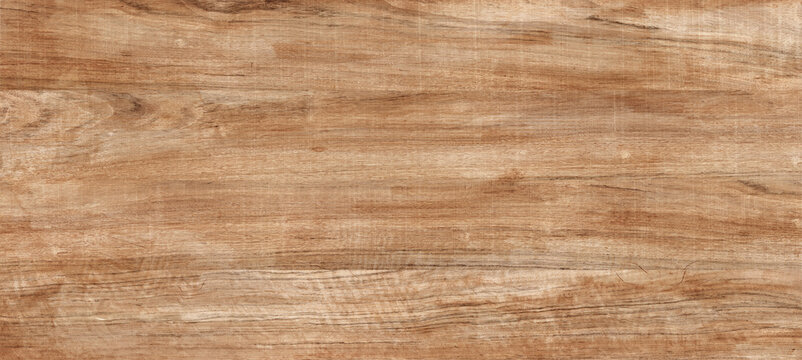 texture of wood background	