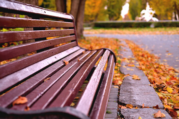 An old bench in an autumn park