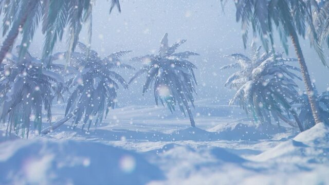 Global warming. Tropical palm trees in the deep blizzard snow. Sun is shining 4K