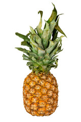 large ripe pineapple with withered leaves on a white isolated background