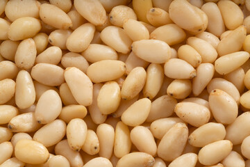 Detailed and large close up shot of pine nut.