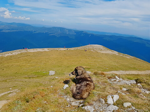 Beautiful panoramic mountain view, Sinaia, Romania