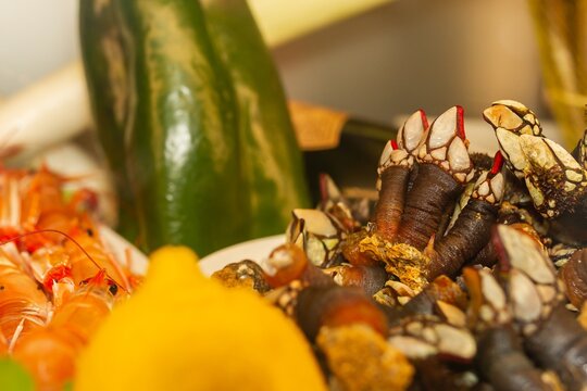 Goose neck barnacle on a plate with vegetables and other seafood, Pollicipes pollicipes, typical crustacean of Galicia (Spain), selective approach.