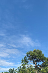 Obraz premium morning sky