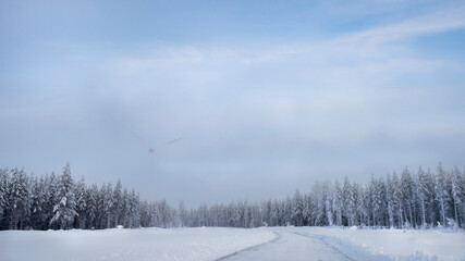 Snow covered trees in the forest.Wind turbine behind.