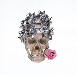 human skull with rose on white background