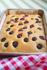 Fresh Baked Homemade Blueberry Cake in a Baking Pan