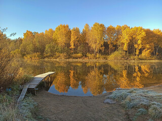 Golden autumn. The shore of the forest lake