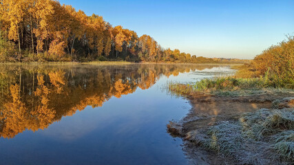 Golden autumn. The shore of the forest lake