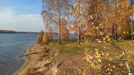 Golden autumn. The shore of the forest lake