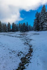 Winterspaziergang im Winterwunderland Thüringer Wald bei Steinbach-Hallenberg - Deutschland