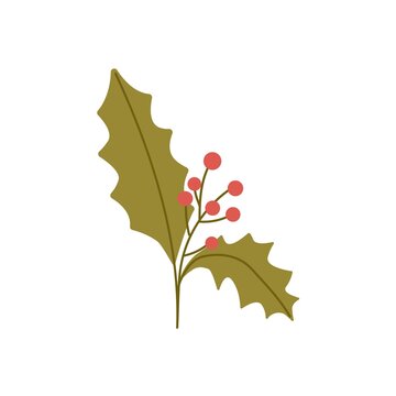 holly leaves red berries simple design clip art preview